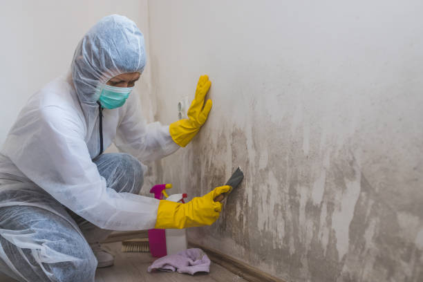 Best Crawl Space Mold Removal  in Pelican Bay, TX